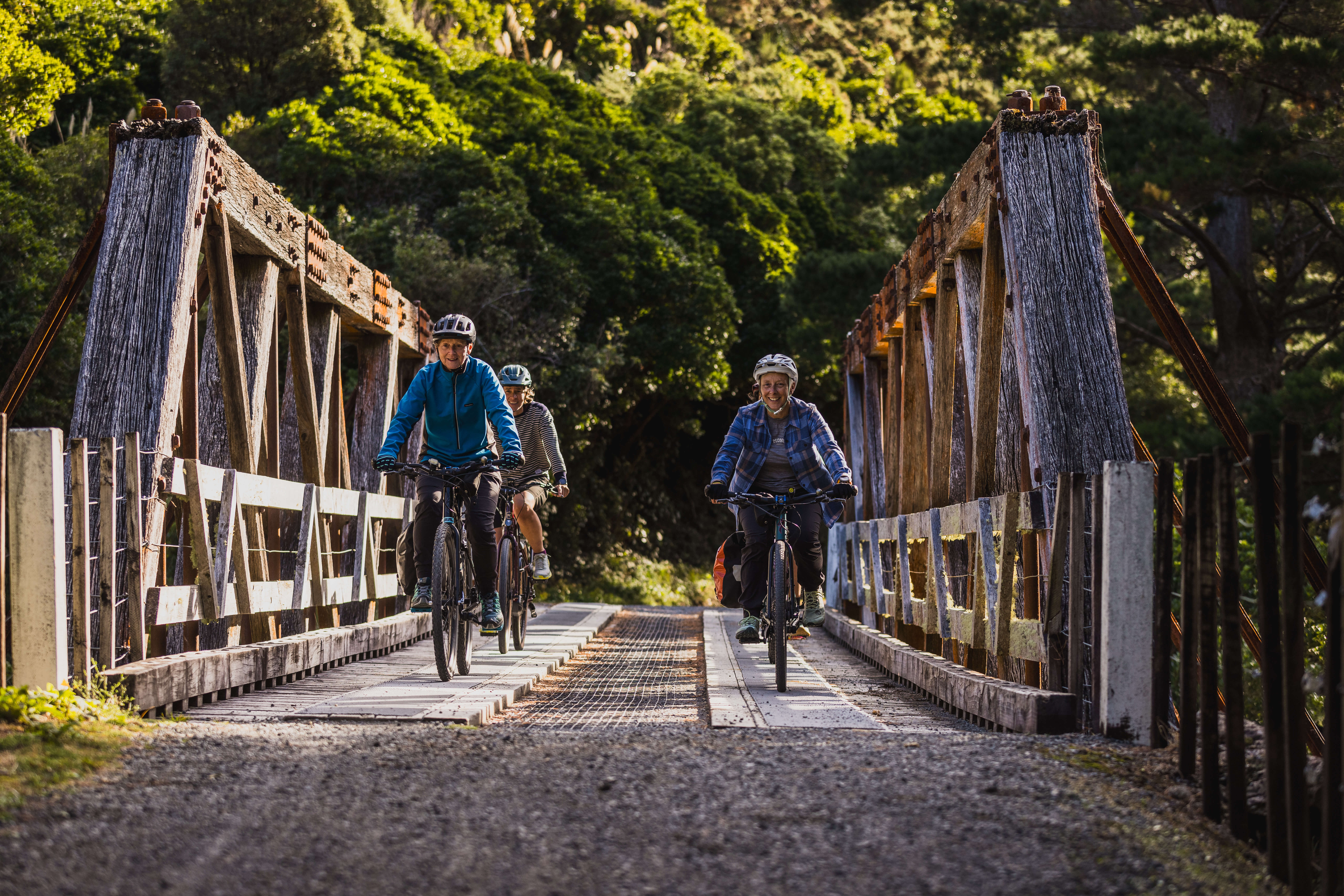 Remutaka Rail Trail eBike Explorer - Image 5