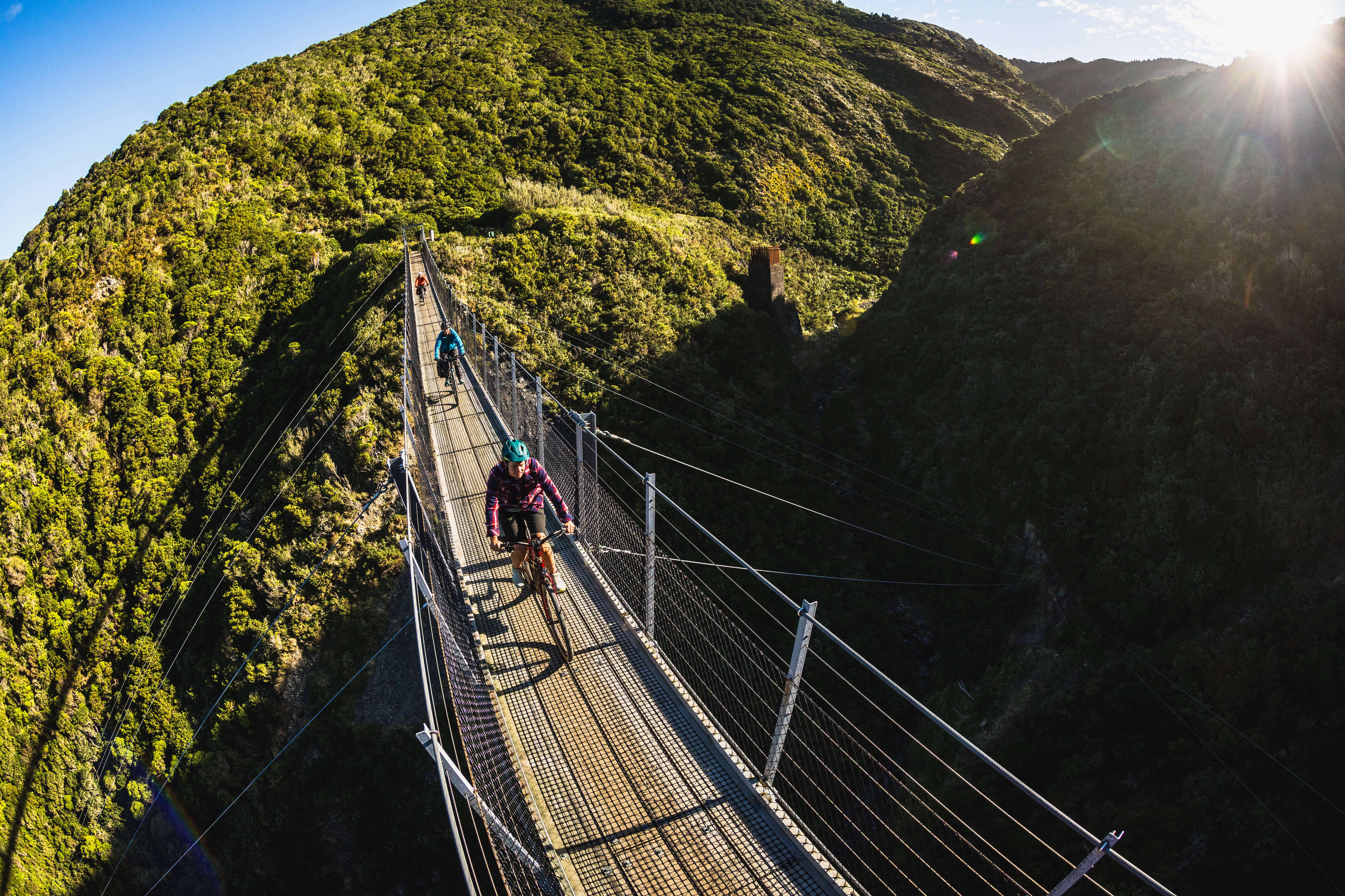 Remutaka Rail Trail eBike Explorer - Image 4