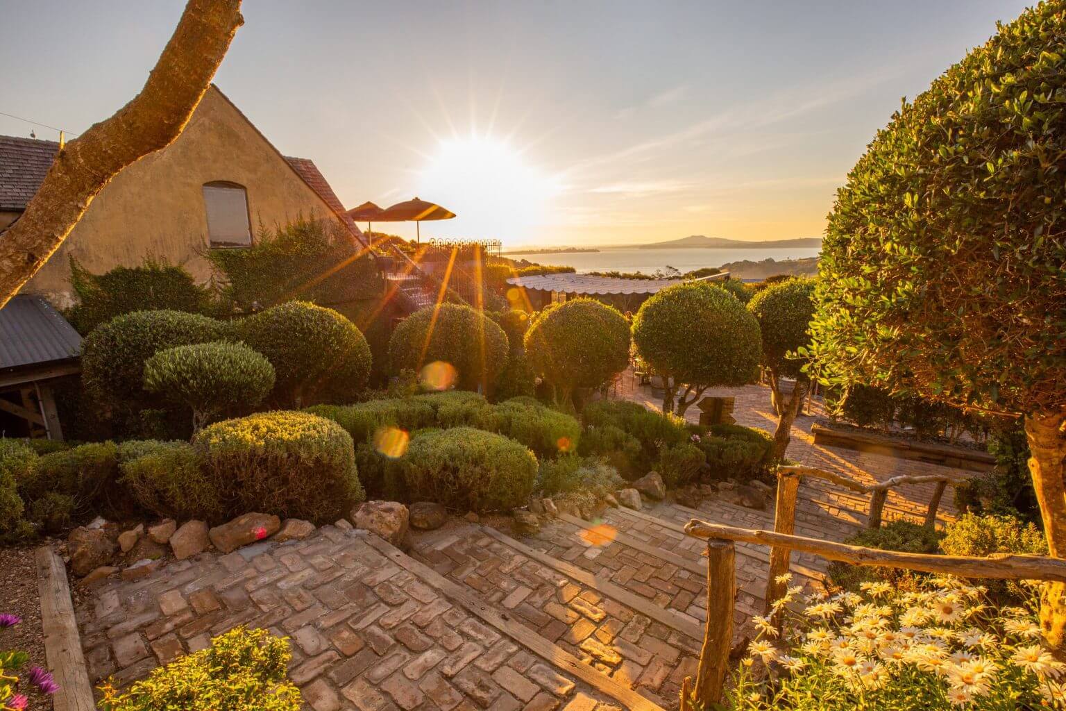 Waiheke Island Sunset Wine & Dine Tour - Image 2