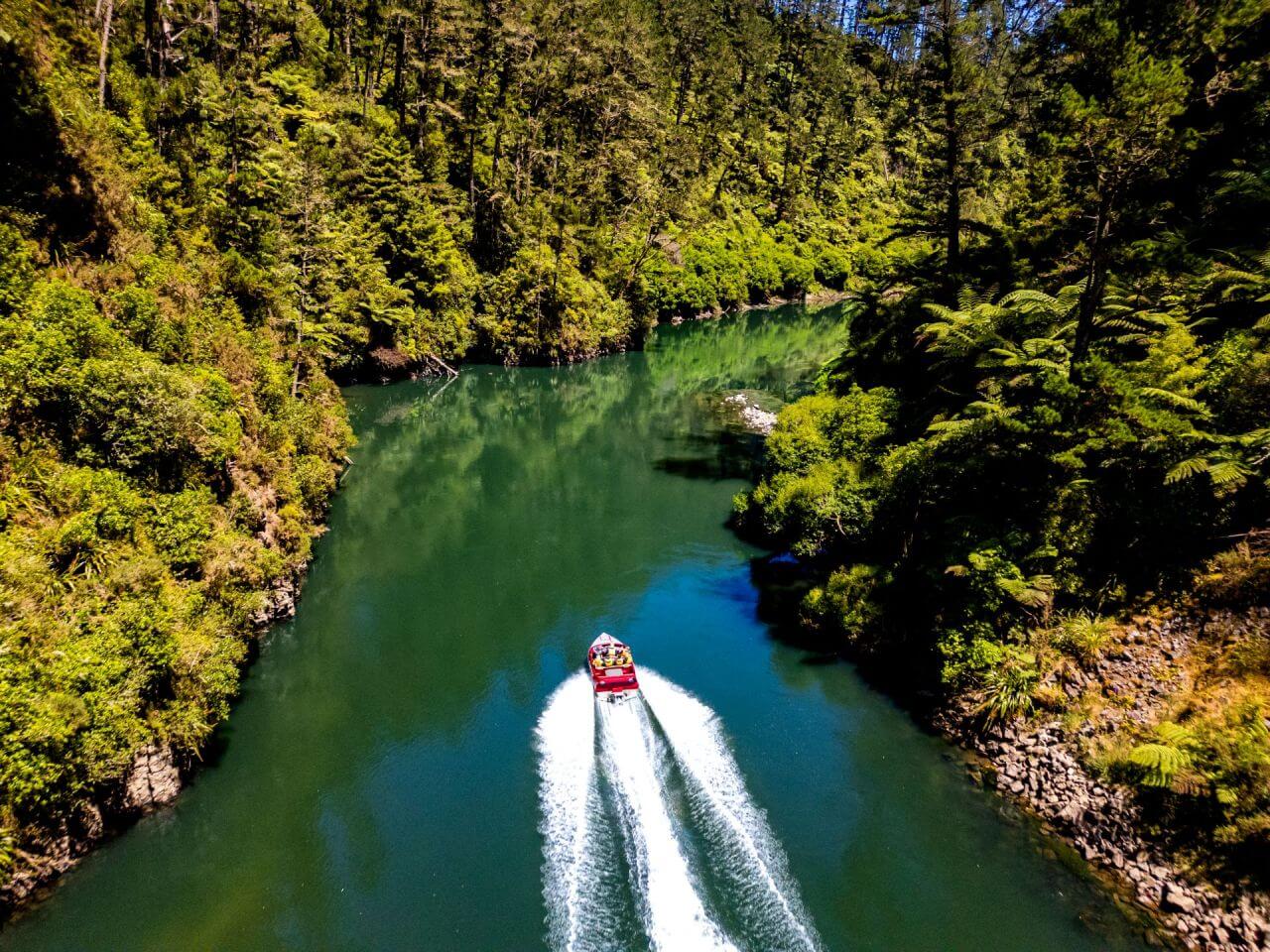Jet Boat the Rangitaiki River near Whakatane