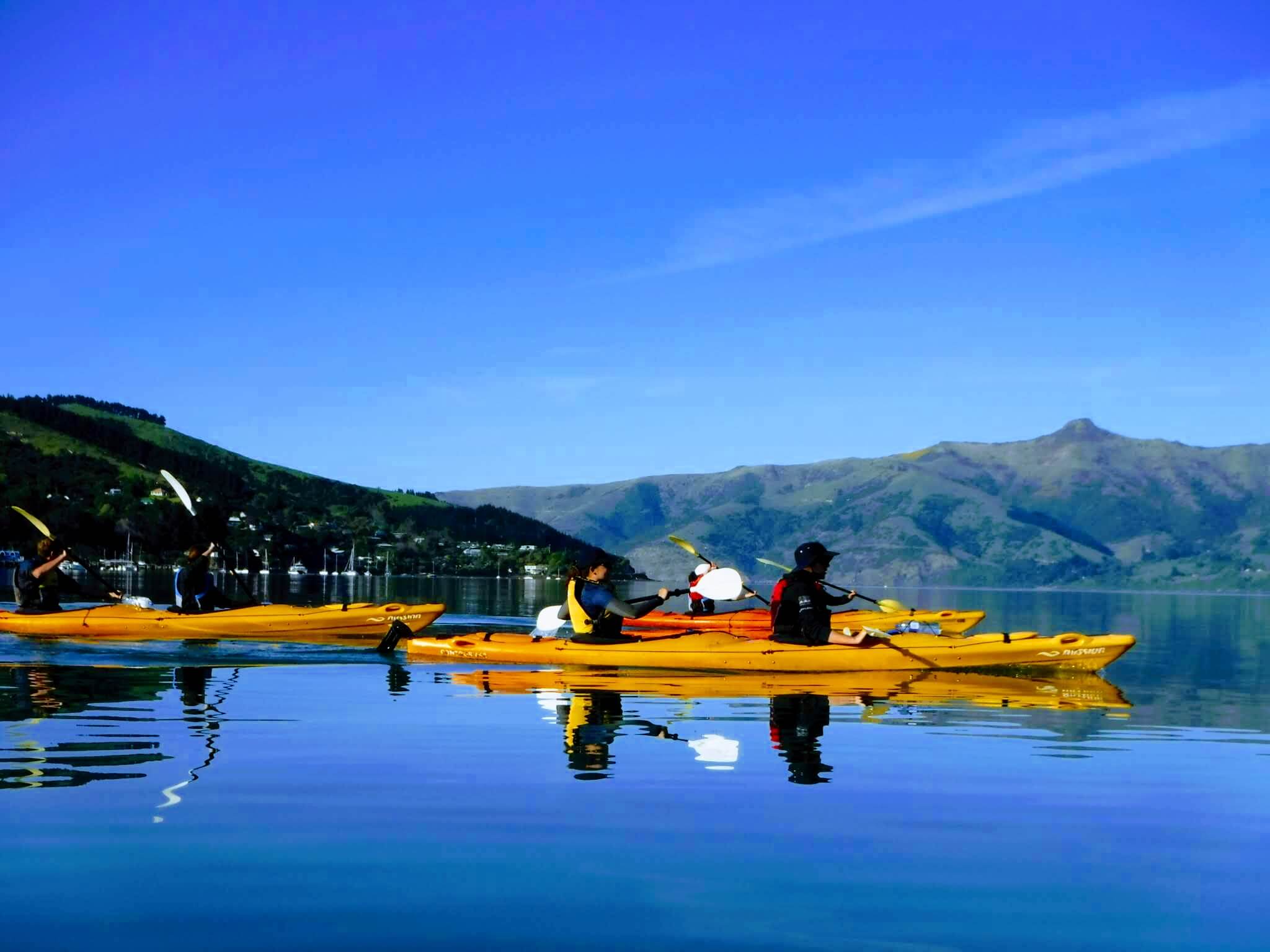Sea Kayaking tour in Akaroa Harbour - Image 4