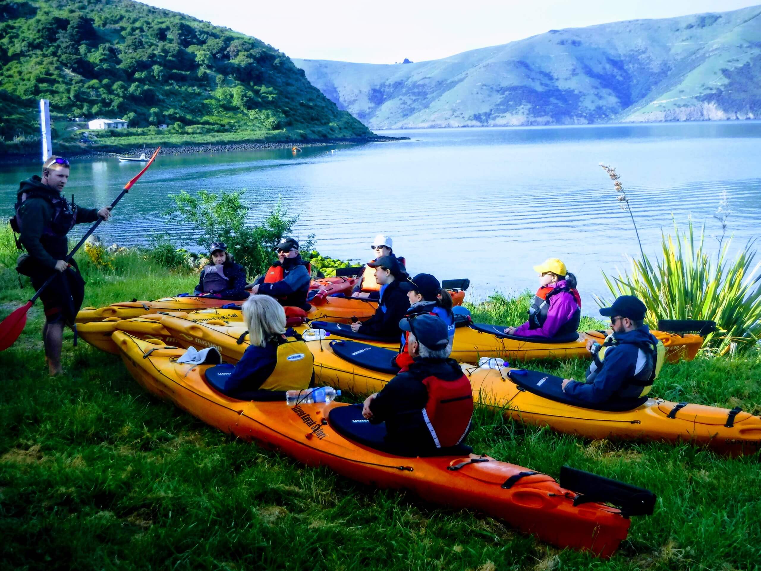 Sea Kayaking tour in Akaroa Harbour - Image 2