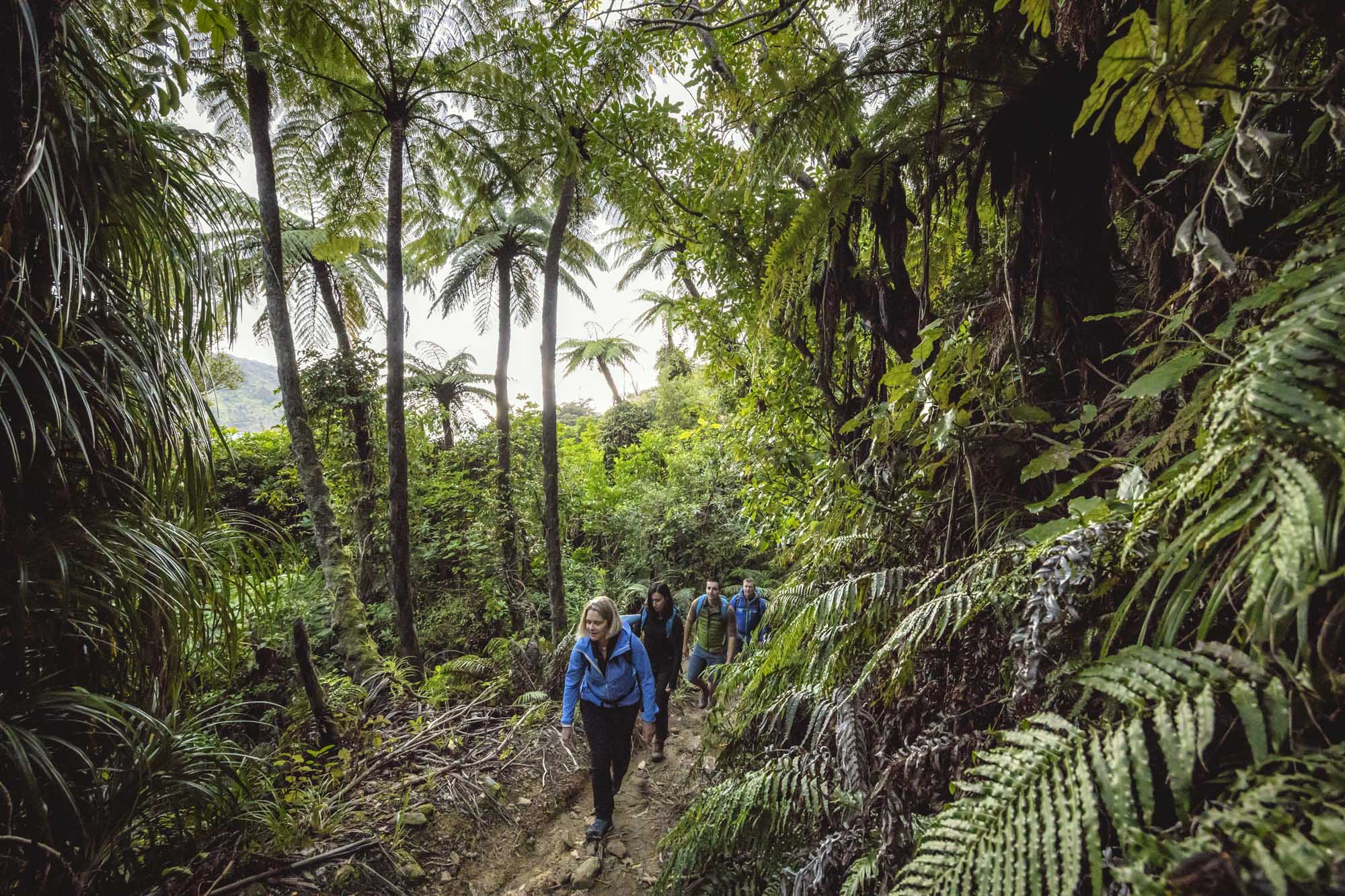 Great Track & Pack Pass