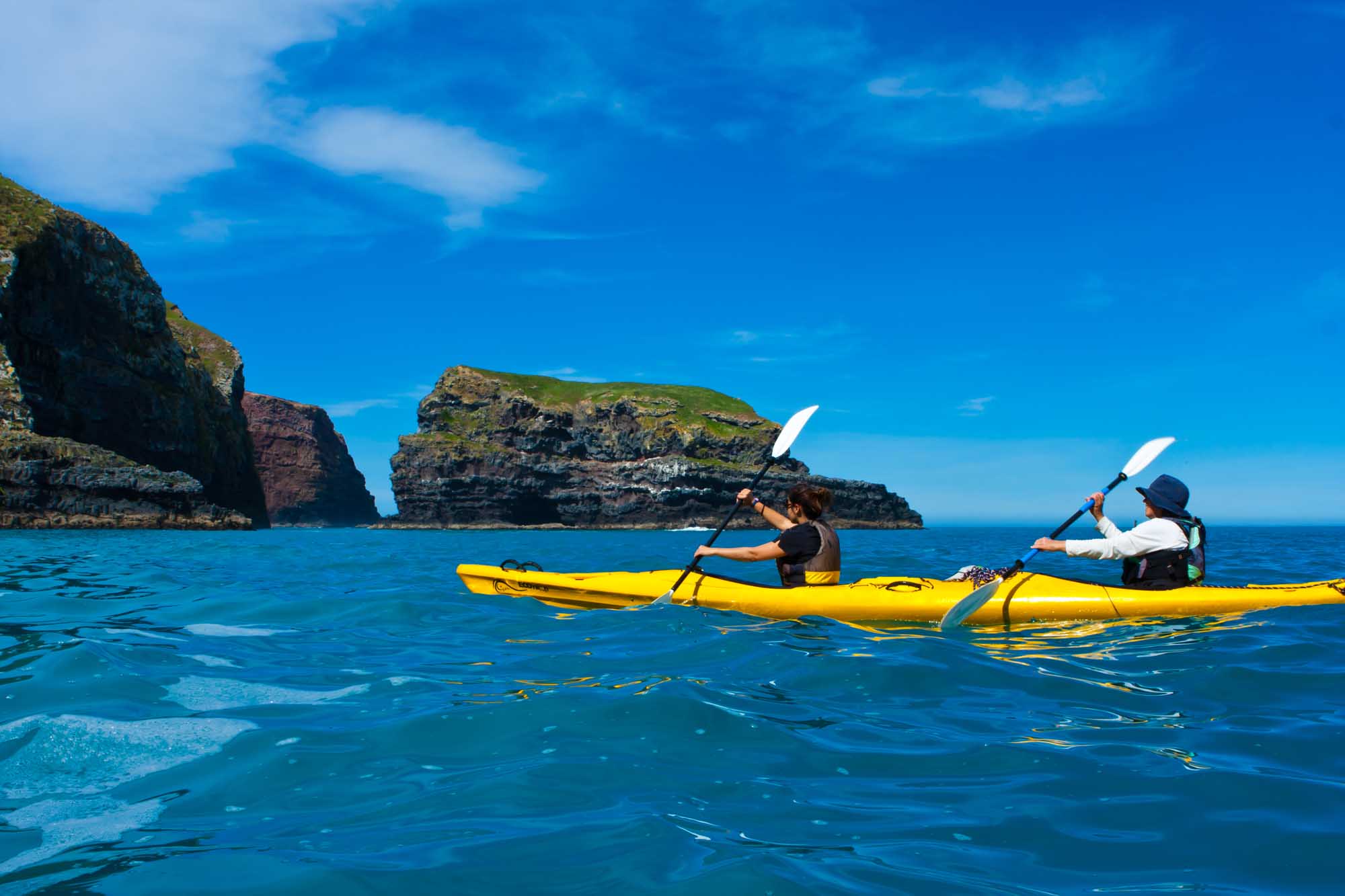 Marine Reserve Kayaking Tour seal spotting Banks Peninsula Canterbury Chuffed Gifts