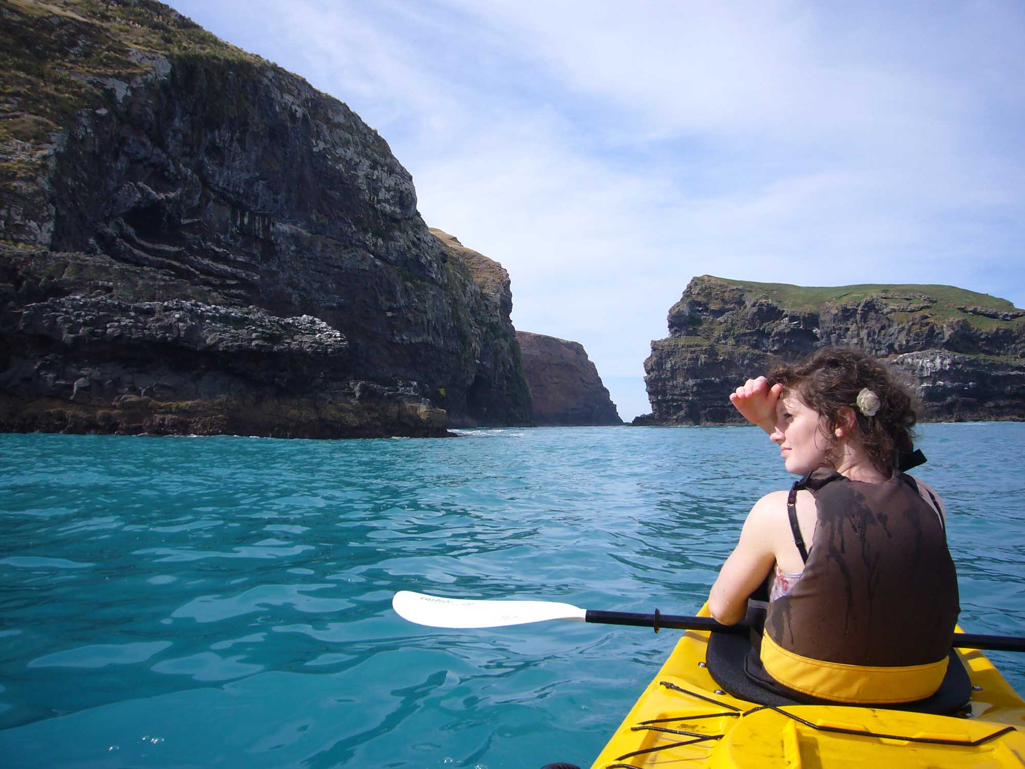 Marine Reserve Kayaking Tour seal spotting Banks Peninsula Christchurch Chuffed Gifts