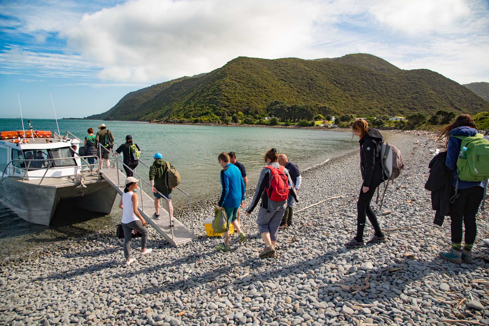 Full day Self-Guided Eco tour on Kapiti Island