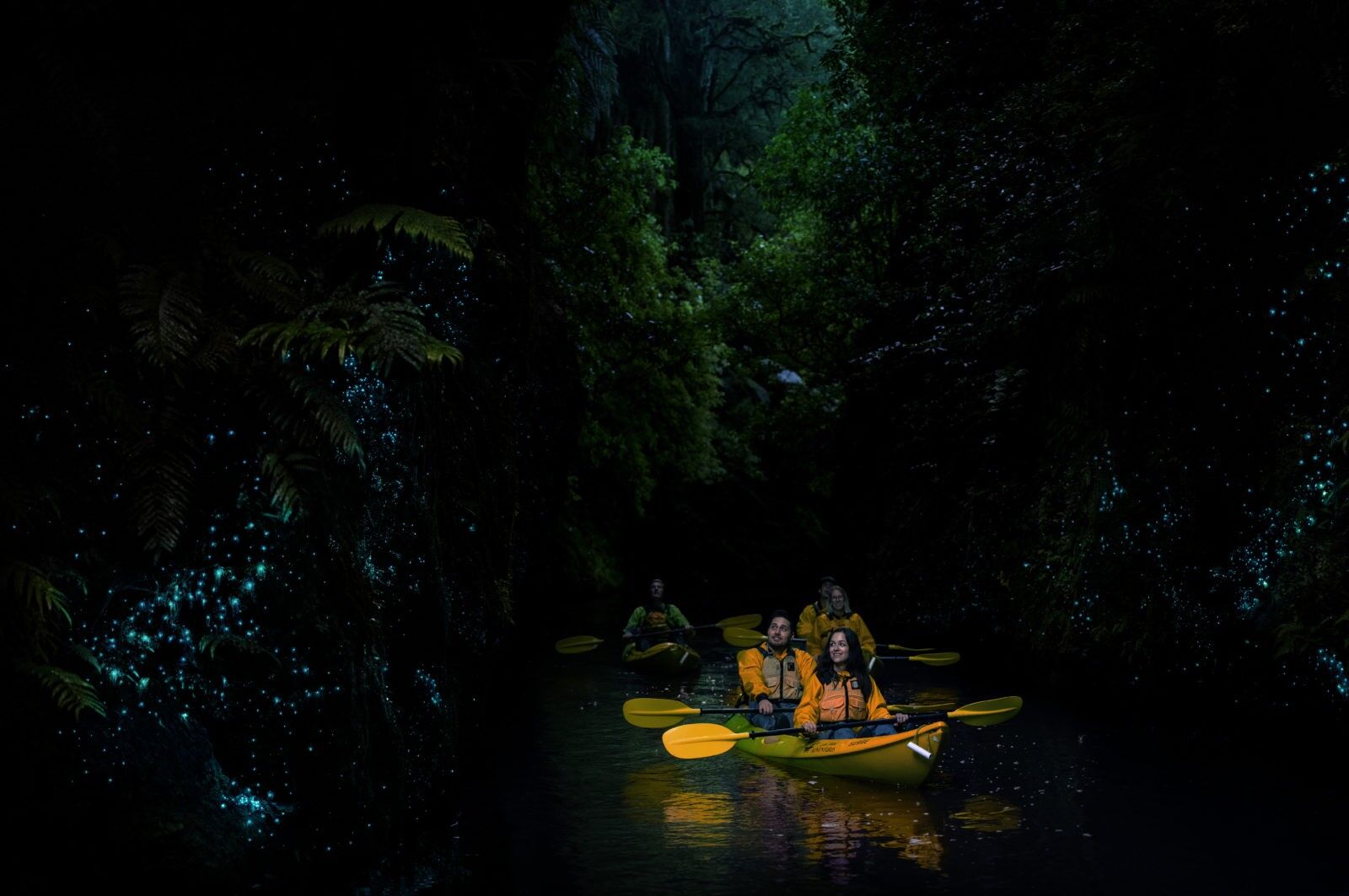 Glow Worm Kayaking on Lake Karapiro!