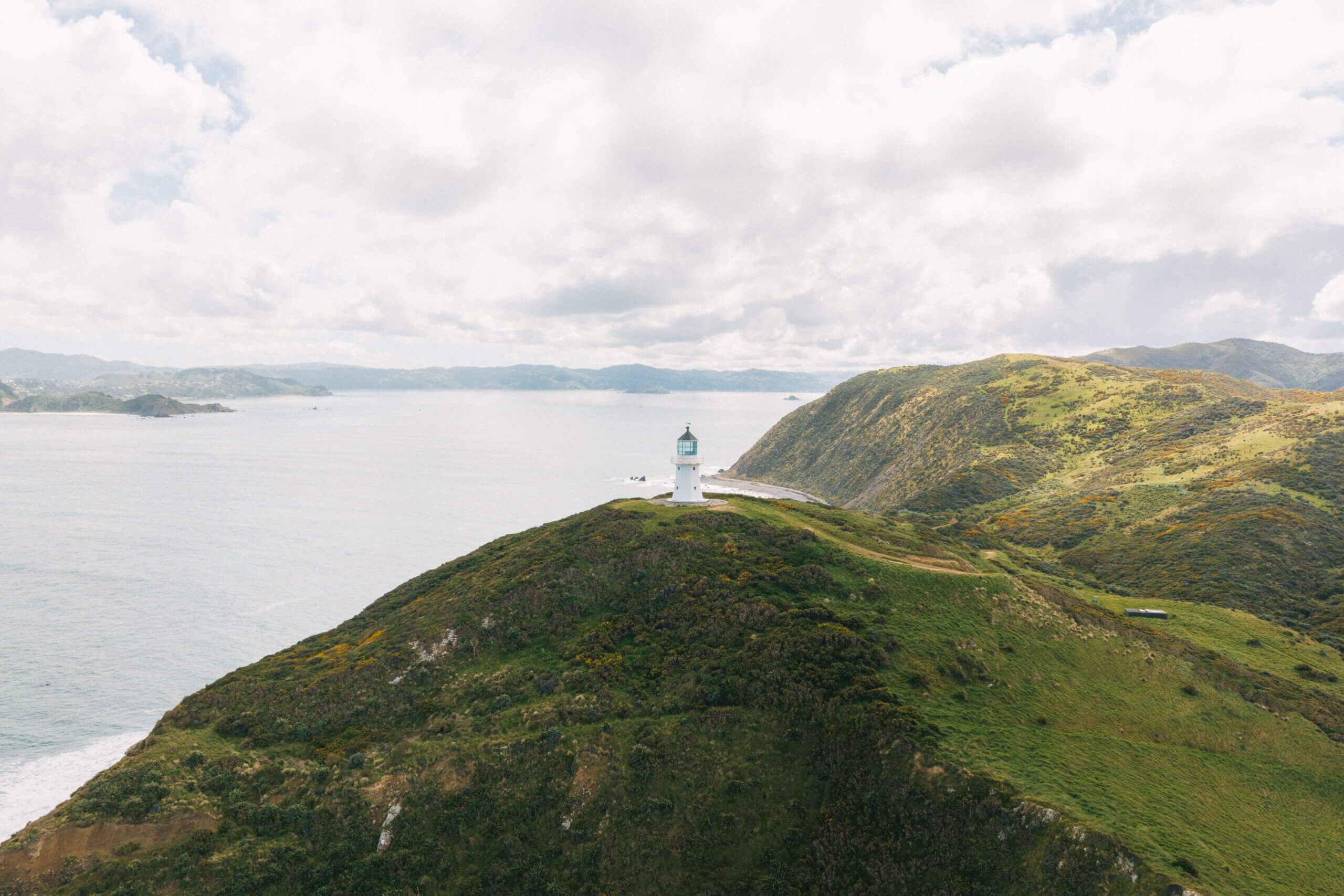 Full Day Exploring Wellington's Rugged Pencarrow Coast on E-Bikes - Image 5
