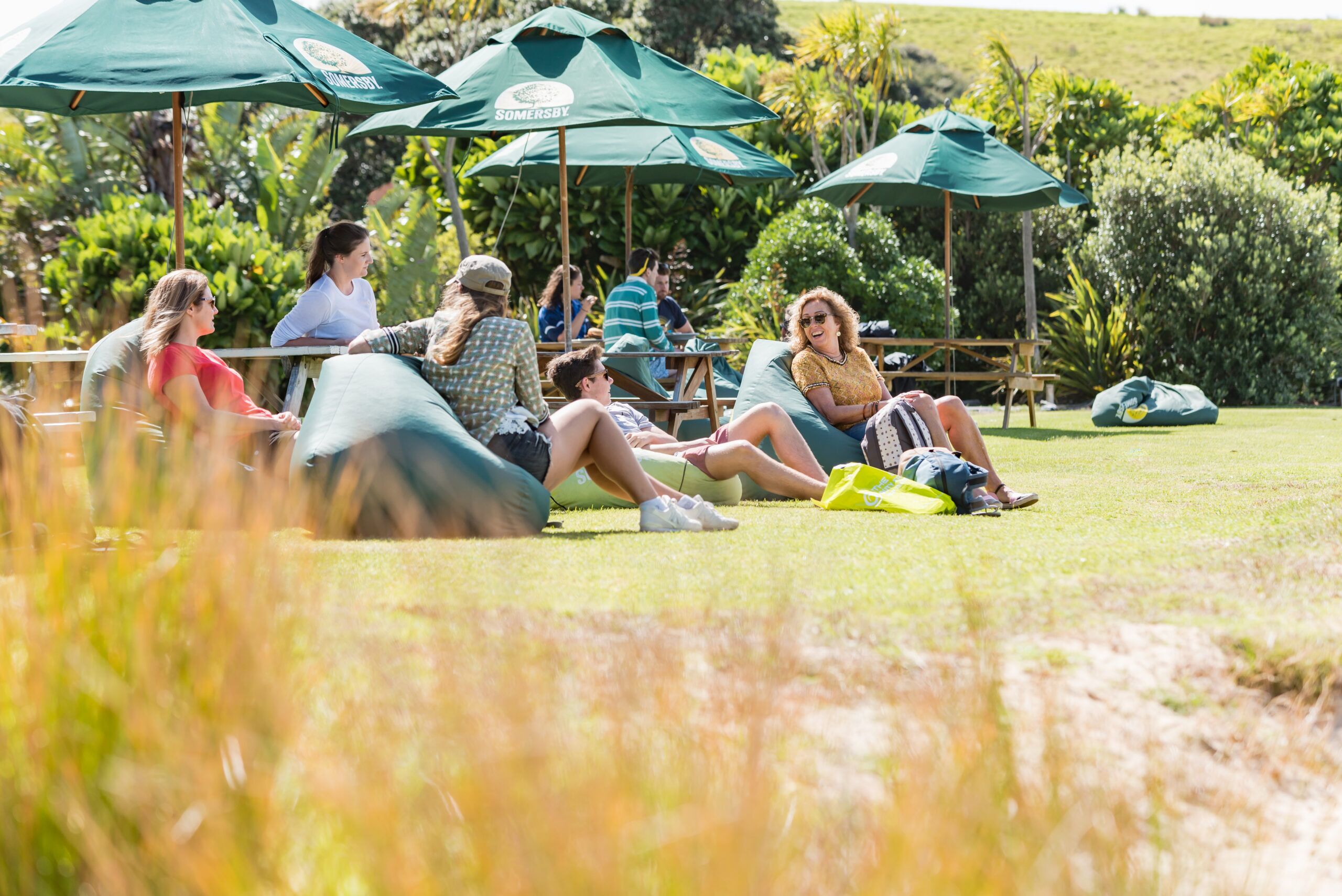 Take a ferry from Paihia to Otehei Bay for a day enjoying Urupukapuka Island - Image 6