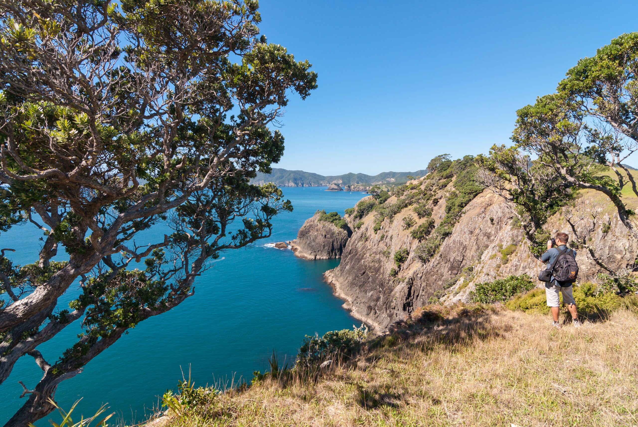 Take a ferry from Paihia to Otehei Bay for a day enjoying Urupukapuka Island - Image 2