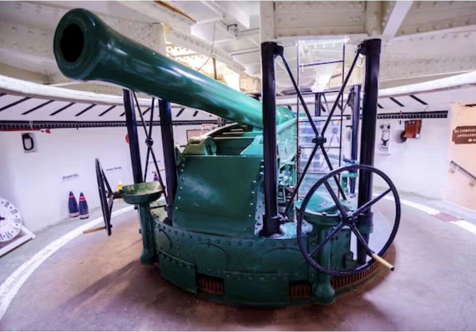 Guided Albatross wildlife tour and visit to Taiaroa Head Nature Reserve - Image 2