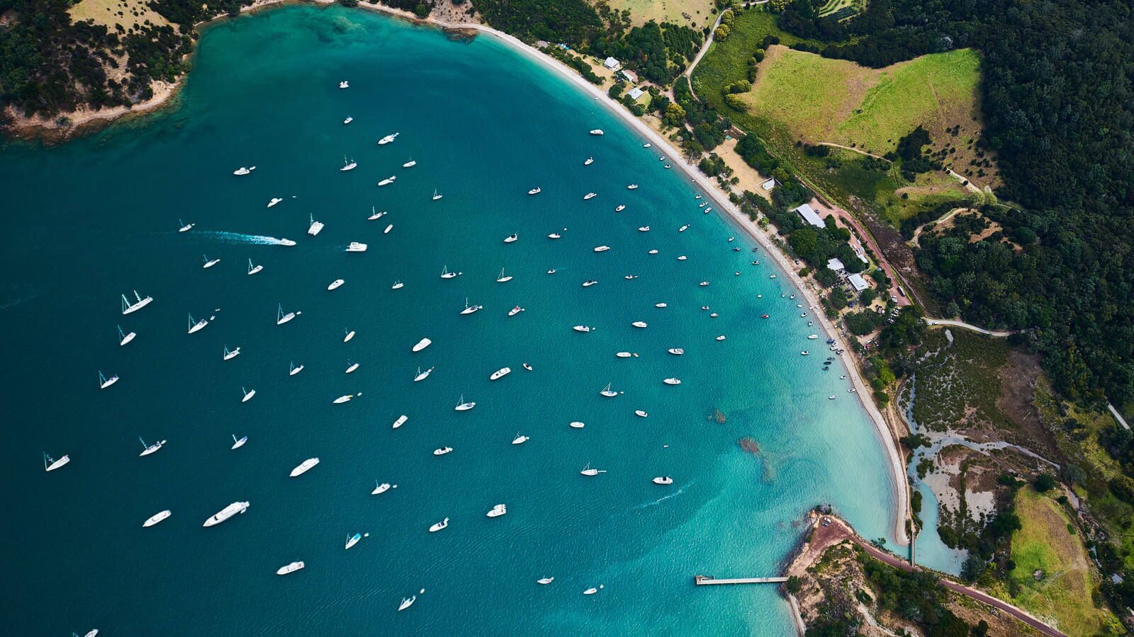 Ferry from Auckland direct to Waiheke's Man O' War Vineyard! - Image 2