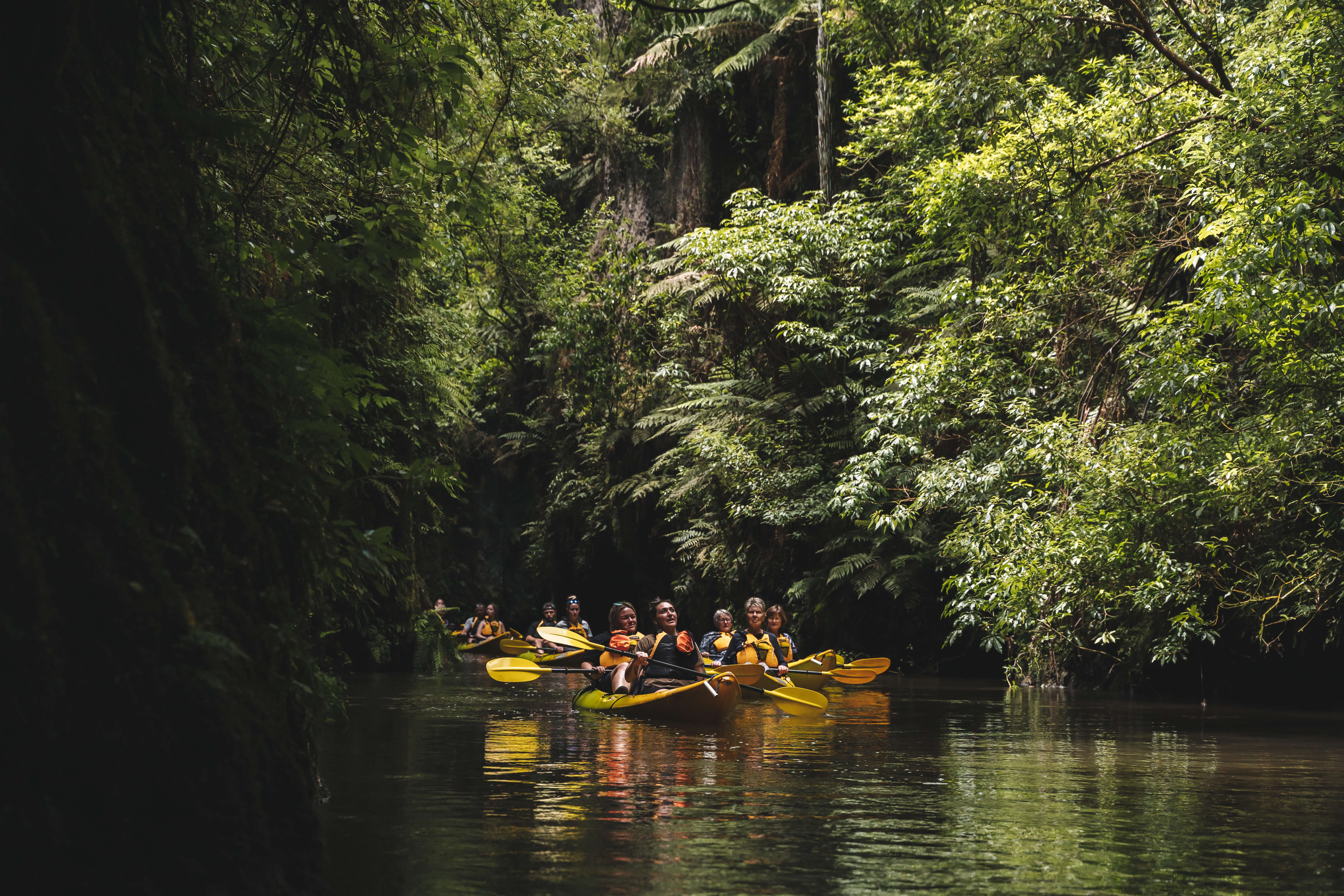 Discover a secret canyon on a guided kayak tour - Image 3