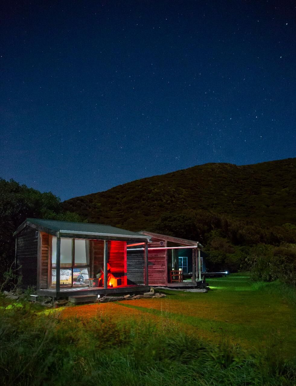 Stay Overnight on Kāpiti Island with Wildlife, Scenic Walks & Stargazing!