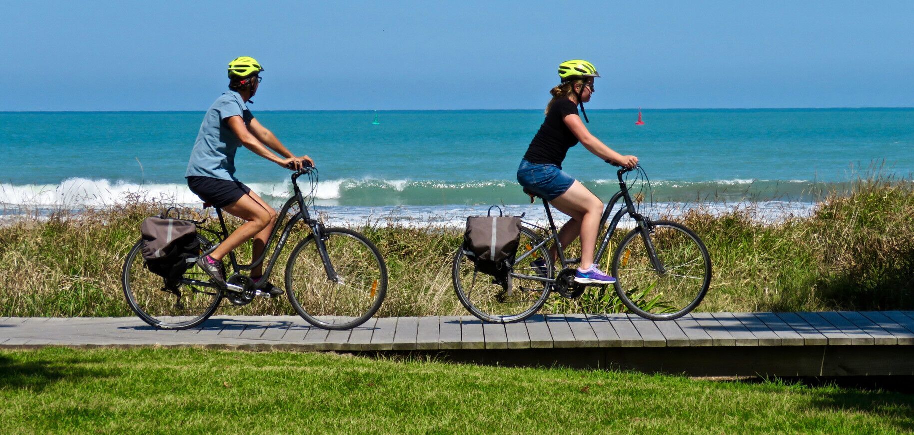 Full Day Bike Hire in Gisborne – Discover Tairāwhiti at Your Own Pace - Image 2